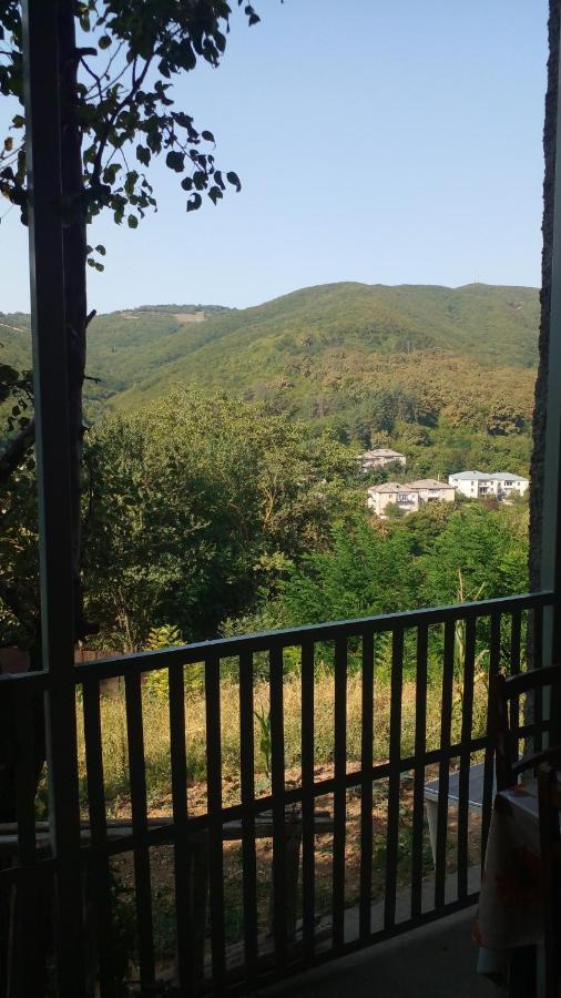 Pirosmani 66 Hotel Sighnaghi Exterior foto